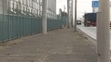 【速報】約140cmのオスの成獣1頭を駆除 八戸市でクマの「緊急銃猟」 現場は八戸港に面する工場施設集積エリアの一角 これまでにけが人などの情報なし 青森県 | 青森のニュース│ATV NEWS│青森テレビ