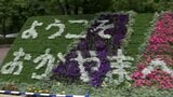 岡山県では57年ぶりの「全国植樹祭」まであと2日　高校生が県内の三大河川を花絵で表現　|　岡山・香川のニュース | 天気 | RSK山陽放送