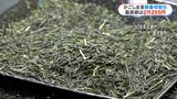 かごしま茶 高値は2万円余りで去年上回る 新春初取引会 | 鹿児島のニュース|MBC NEWS|南日本放送