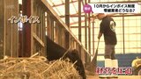 「長年培った技術が失われる」インボイス制度で廃業進む? 零細事業者の現状 | MRTニュース | MRT宮崎放送