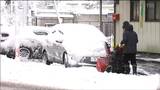 多い所では23センチの積雪 朝から除雪作業に追われる人も 宮城 | 宮城のニュース│tbc NEWS│tbc東北放送