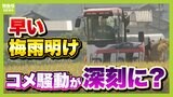 「少雨と異常高温で品薄懸念」コメ騒動さらに深刻化?"最早"梅雨明けで暑く長い夏へ...コメの天敵・カメムシ増加のおそれ さらに野菜も卵も高くなる!?【解説】|TBS NEWS DIG