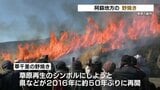 春の息吹を待って　阿蘇地方で野焼き　草原再生のシンボル　草千里の野焼きも　　|　熊本のニュース｜RKK NEWS｜RKK熊本放送