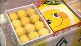 ハウスもの「日向夏」が販売解禁 初セリでは過去最高と並ぶ高値に|TBS NEWS DIG