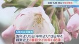 《札幌・函館・帯広》で桜が開花 帯広では観測史上最も早い開花に 札幌は今年初めての20℃|TBS NEWS DIG
