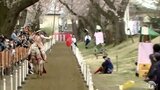 人馬一体で的を射貫く　女性騎手だけの「桜流鏑馬」　青森県十和田市|TBS NEWS DIG