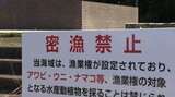夏場に増える「レジャー密漁」の取り締まり強化 釜石海上保安部|TBS NEWS DIG