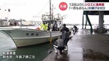 「一匹もおらん…」富山湾の宝石 シロエビ漁師から悲痛な声 “2週間ぶりの漁” もかつてない不漁 | 富山のニュース|天気・防災|チューリップテレビ