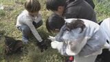 小学生が地元特産“甘夏ミカン”植樹を体験「大きくなりますように」4年後には立派な実をつける見込み 三重・尾鷲市|TBS NEWS DIG