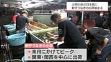 土用の丑の日を前に 新富町で「新仔うなぎ」の出荷が始まる | MRTニュース | MRT宮崎放送