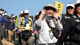 約1000人が霧島路を堪能 龍馬ハネムーンウォーク 鹿児島 | 鹿児島のニュース|MBC NEWS|南日本放送