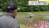 「生産者も消費者もいい値段考えて」高値続く『コメ』 農家から“コメ離れ”懸念して対策求める声 現在の小売価格は「生産者としてもやや高い」|TBS NEWS DIG