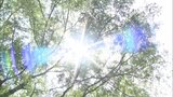 甲子園出場かけ球児たちの熱戦始まる 高校野球福岡大会開幕 | 福岡のニュース|RKB NEWS|RKB毎日放送