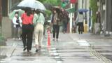 【大雨情報】岡山県では100ミリ超の大雨で倒木も 明け方まで土砂災害に警戒|TBS NEWS DIG