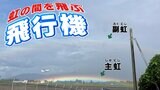 二つの虹の間を離陸する飛行機　「地面に近すぎる虹」どうして？|TBS NEWS DIG