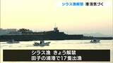 「絶好調」「シラスがとれる日が続けば」県内のシラス漁解禁田子の浦港では初競り港活気づく＝静岡・富士市|TBS NEWS DIG