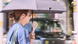 まだ7月なのに…「もうまいっている」人間も動物もぐったり 静岡で観測史上最高39.3℃ なぜここまで暑いのか | 静岡のニュース | SBSNEWS | 静岡放送