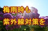 【紫外線】梅雨でも対策忘れずに 実は雲があった方が快晴より浴びやすい? 年々強くなっているというデータも tbc気象台 | 宮城のニュース│tbc NEWS│tbc東北放送