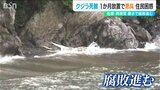 漂着して死んだクジラが1か月放置されたまま 腐敗臭が住宅地に…「臭いだけはすごい」重機使えず撤去難しく 新潟・佐渡市|TBS NEWS DIG