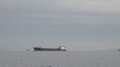 イラン革命防衛隊がコンテナ船を攻撃　英海事当局| TBS CROSS DIG with Bloomberg