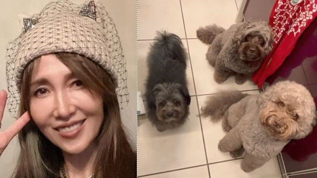 【工藤静香】3匹の愛犬に「食いしん坊チーム女子　笑」愛情たっぷりの手作りごはん|TBS NEWS DIG