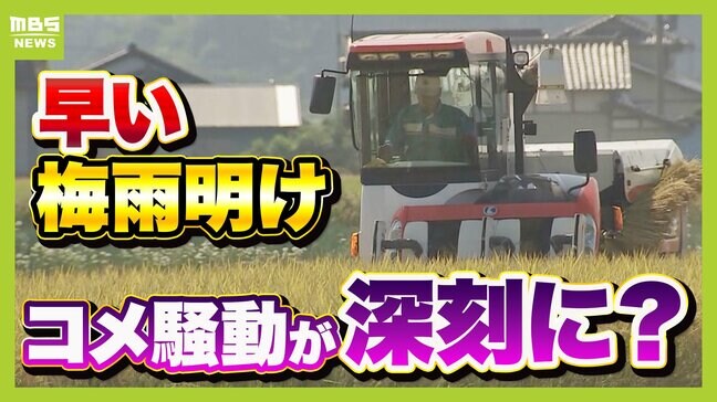「少雨と異常高温で品薄懸念」コメ騒動さらに深刻化？"最早"梅雨明けで暑く長い夏へ...コメの天敵・カメムシ増加のおそれ　さらに野菜も卵も高くなる！？【解説】|TBS NEWS DIG
