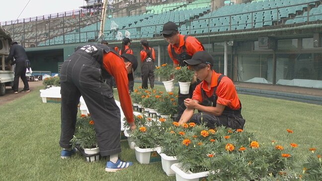 高校野球大分大会6日開幕　生徒が育てた花で球場を彩る|TBS NEWS DIG