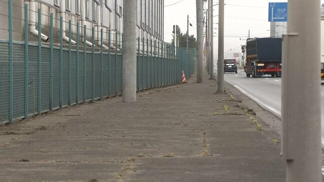【速報】約140cmのオスの成獣1頭を駆除 八戸市でクマの「緊急銃猟」 現場は八戸港に面する工場施設集積エリアの一角 これまでにけが人などの情報なし 青森県|TBS NEWS DIG