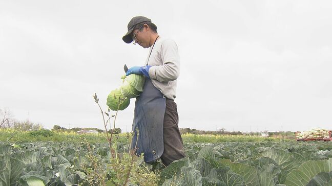 ダムの水回復で節水緩和も…愛知県は引き続き田植えの延期を要請 農家は「遅らせると苗が傷んで生育が悪くなる」|TBS NEWS DIG