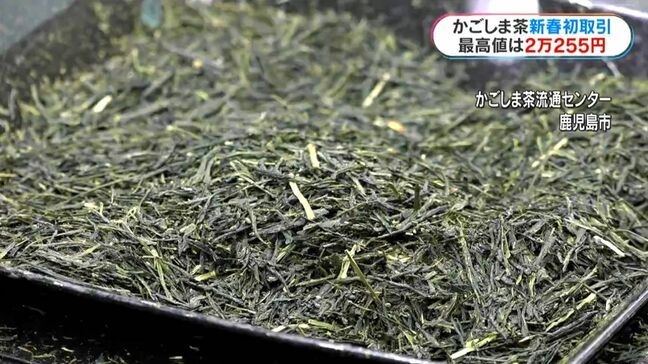 かごしま茶 高値は2万円余りで去年上回る 新春初取引会|TBS NEWS DIG