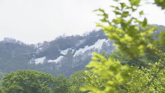 「白山白川郷ホワイトロード」無料区間が開通 絶景を楽しむドライバーに開通を待ちわびた温泉旅館も |TBS NEWS DIG