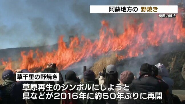 春の息吹を待って　阿蘇地方で野焼き　草原再生のシンボル　草千里の野焼きも　|TBS NEWS DIG