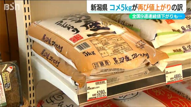 再上昇に「コメどころならではの事情」一時は全国最安値だった 新潟の米価格|TBS NEWS DIG