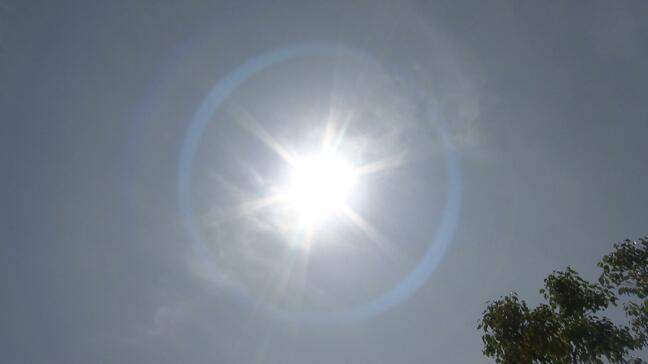 “37℃予想”危険な暑さに警戒、高知市は午前中で35℃超え今年初の“猛暑日”　3日ぶり「熱中症警戒アラート」発表【高知】　|TBS NEWS DIG