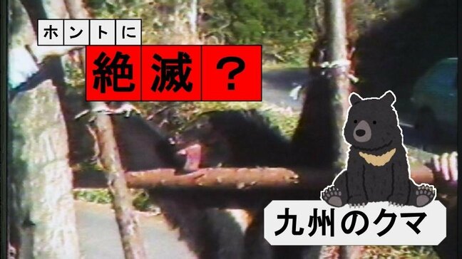 本当に絶滅?九州のツキノワグマ(1987年)【TBSアーカイブ秘録】|TBS NEWS DIG