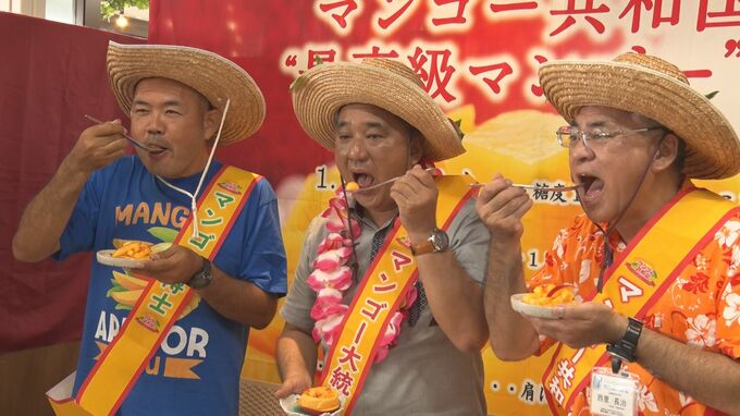 毎年“建国”される「マンゴー共和国」大統領が味をPR　国民の義務は「積極的に購入、人に贈る」　|　沖縄のニュース｜RBC 琉球放送