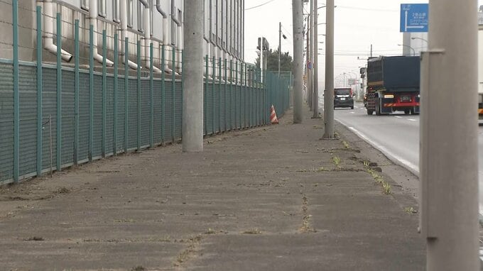 【速報】緊急銃猟でクマ1頭を駆除　八戸市河原木　5月に続き市内2例目　市内では25日から目撃相次ぐ　　青森県内4例目の緊急銃猟|TBS NEWS DIG