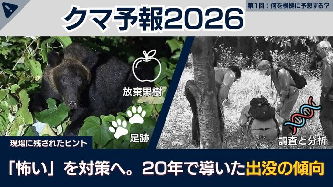 【クマ予報】クマ出没は「天気予報」のように予想できる　札幌市が約20年積み重ねてきたDNA調査から見る傾向と分析|TBS NEWS DIG