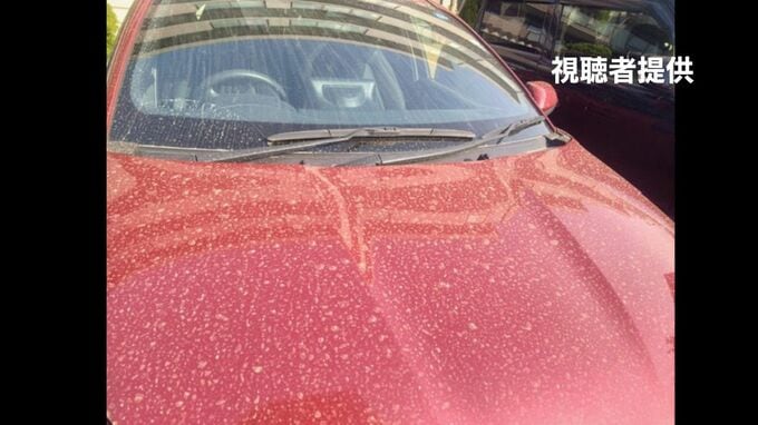 【黄砂情報】北海道の広い範囲に飛来か　札幌では車に黄砂のようなもの付着確認　22日も太平洋側を中心に注意必要　塗装を傷つけない洗車方法とは|TBS NEWS DIG