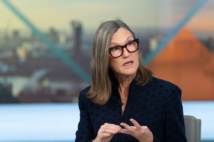 ウッド氏のフィンテックETF、25年に29%リターン－AI株で逆風乗り切る