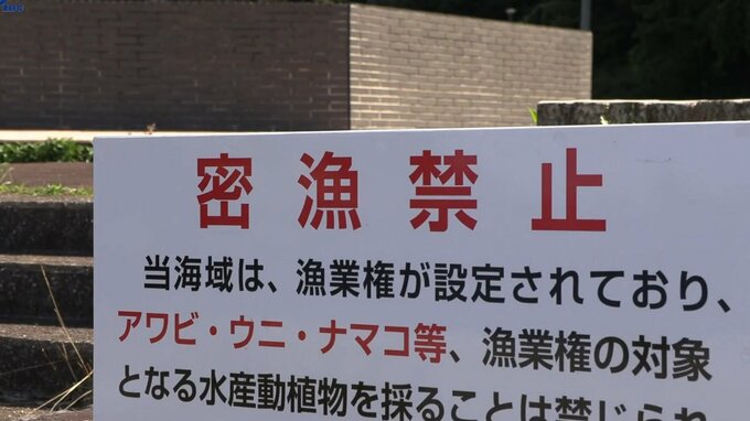 夏場に増える「レジャー密漁」の取り締まり強化　釜石海上保安部|TBS NEWS DIG