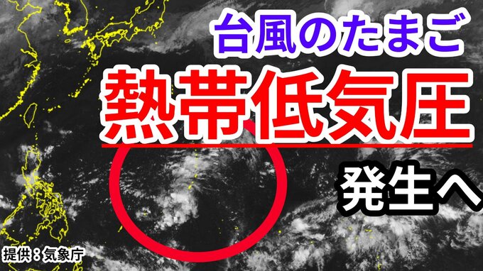 【台風情報】新たな「熱帯低気圧」（台風のたまご）がフィリピンの東で発生の見込み　今後の進路・影響は？気象予報士が解説　18日・19日週末の天気は？詳しい天気シミレーションをみる【気象庁　15日午前10時半更新】　|TBS NEWS DIG