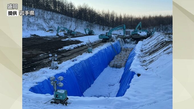 高病原性鳥インフルエンザの陽性が確認された盛岡市の2つの養鶏場　殺処分が約77％終了|TBS NEWS DIG