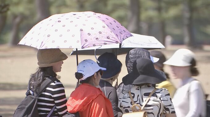 東京の気温25℃台に　今年初の夏日観測　3月の最高気温として過去最高を更新|TBS NEWS DIG