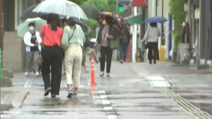 【大雨情報】岡山県では100ミリ超の大雨で倒木も　明け方まで土砂災害に警戒|TBS NEWS DIG