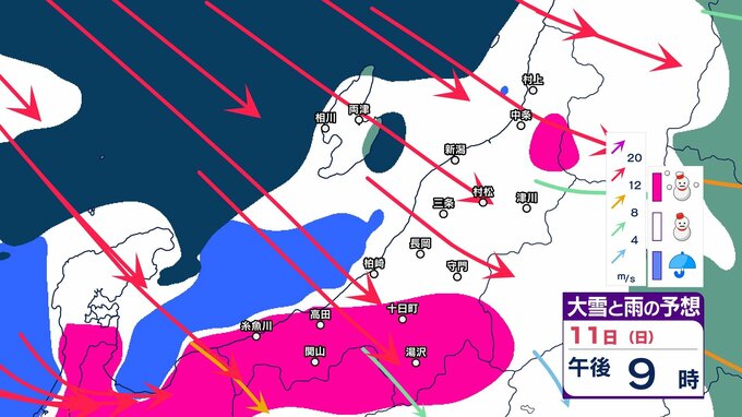 【 新潟の大雪予報 】12日朝までに上越・中越山沿いで80cm、平地40cm 下越の山沿い60cm、平地30cm予想【15日までの雪のシミュレーション・11日午前6時更新】　|　新潟のニュース・天気｜BSN NEWS｜BSN新潟放送