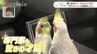 専門家も驚く才能？オカメインコ「風太くん」　飼い主のギターに合わせて歌うインコ界のアイドルに　|　山口のニュース・天気・防災｜tys NEWS｜ｔｙｓテレビ山口