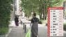 全国の最高気温ランキング 東海地方が1～10位占める 名古屋は33.6℃ 今年1番の暑さに　|　名古屋・愛知・岐阜・三重のニュース【CBC news】 | CBC web