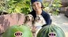 【 石原詢子 】杉良太郎さんの『良太郎スイカ』と『夏子スイカ』を堪能　杉家の愛犬たちにもメロメロ|TBS NEWS DIG