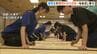 “かるたの甲子園”高校生たちの熱戦続く…近江神宮で「競技かるた」の全国大会　滋賀・大津市　|　MBSニュース | 関西の最新ニュースを分かりやすく。